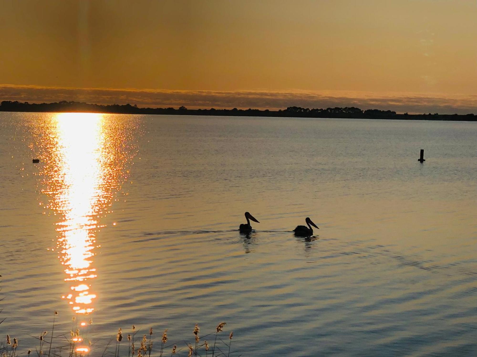 Lake Boga Caravan Park מראה חיצוני תמונה