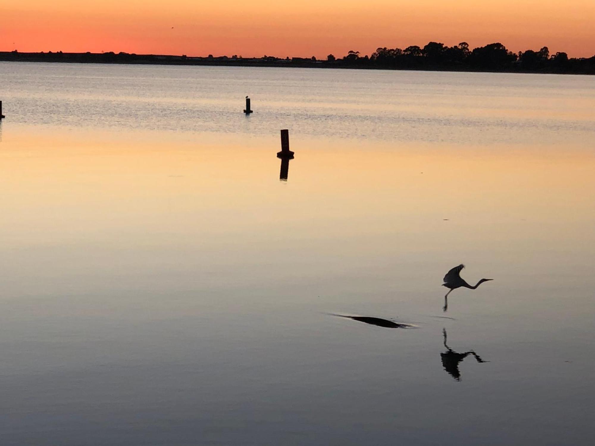 Lake Boga Caravan Park מראה חיצוני תמונה